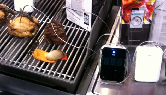 iGrill Wireless Cooking Thermometer review 4