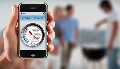 iGrill Wireless Cooking Thermometer review 5
